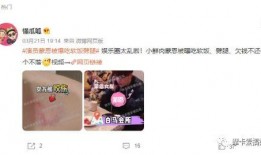 懂瓜呱爆料最新成毅,揭秘懂瓜呱爆料背后的精彩瞬间