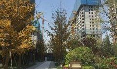 太原万科小区最新爆料,揭秘神秘事件背后的真相